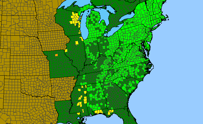 The range of Medeola virginiana